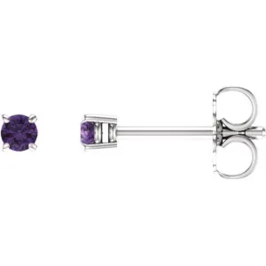 14K White 2.5 mm Natural Amethyst Stud Earrings