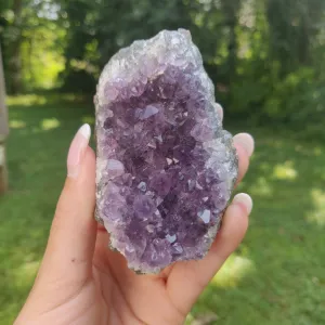 Amethyst Cluster (#6C)