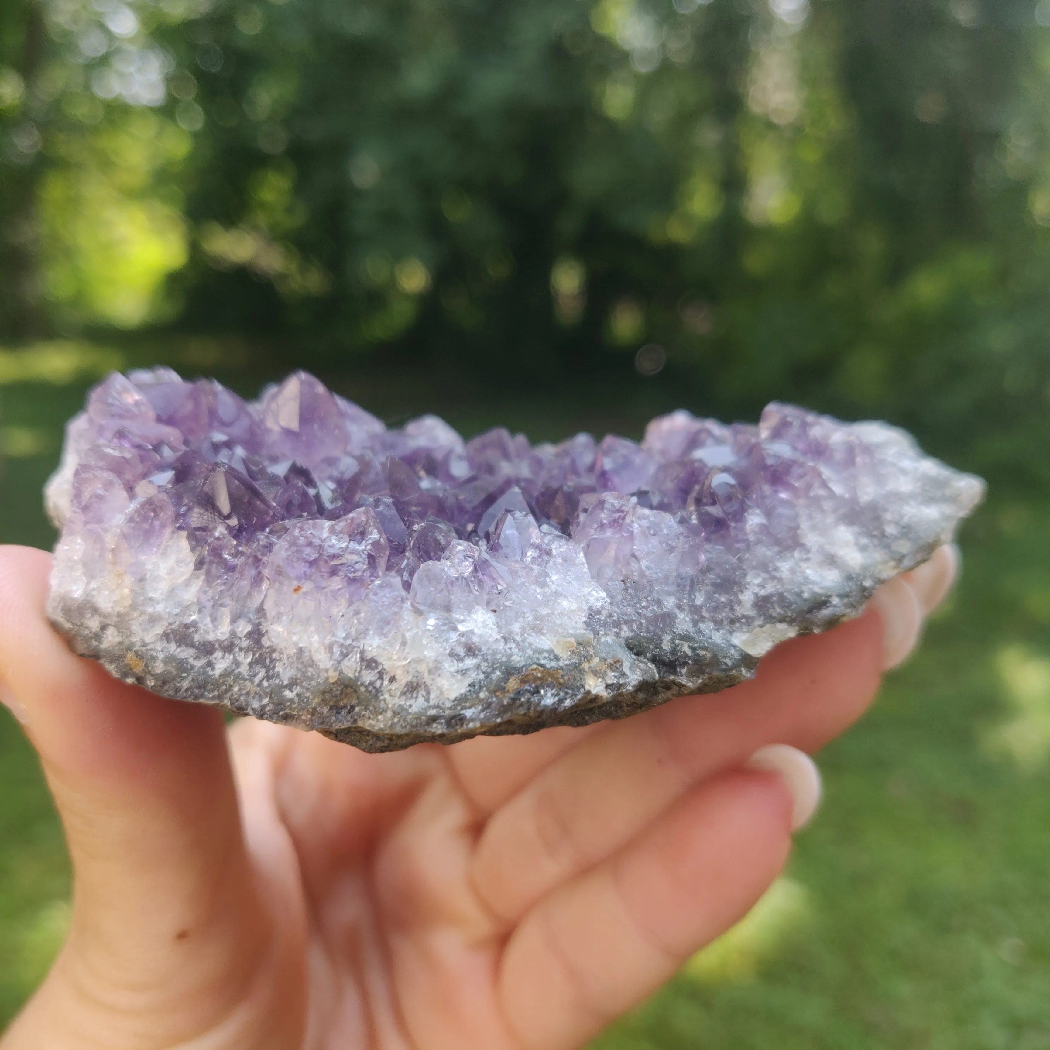 Amethyst Cluster (#6C)