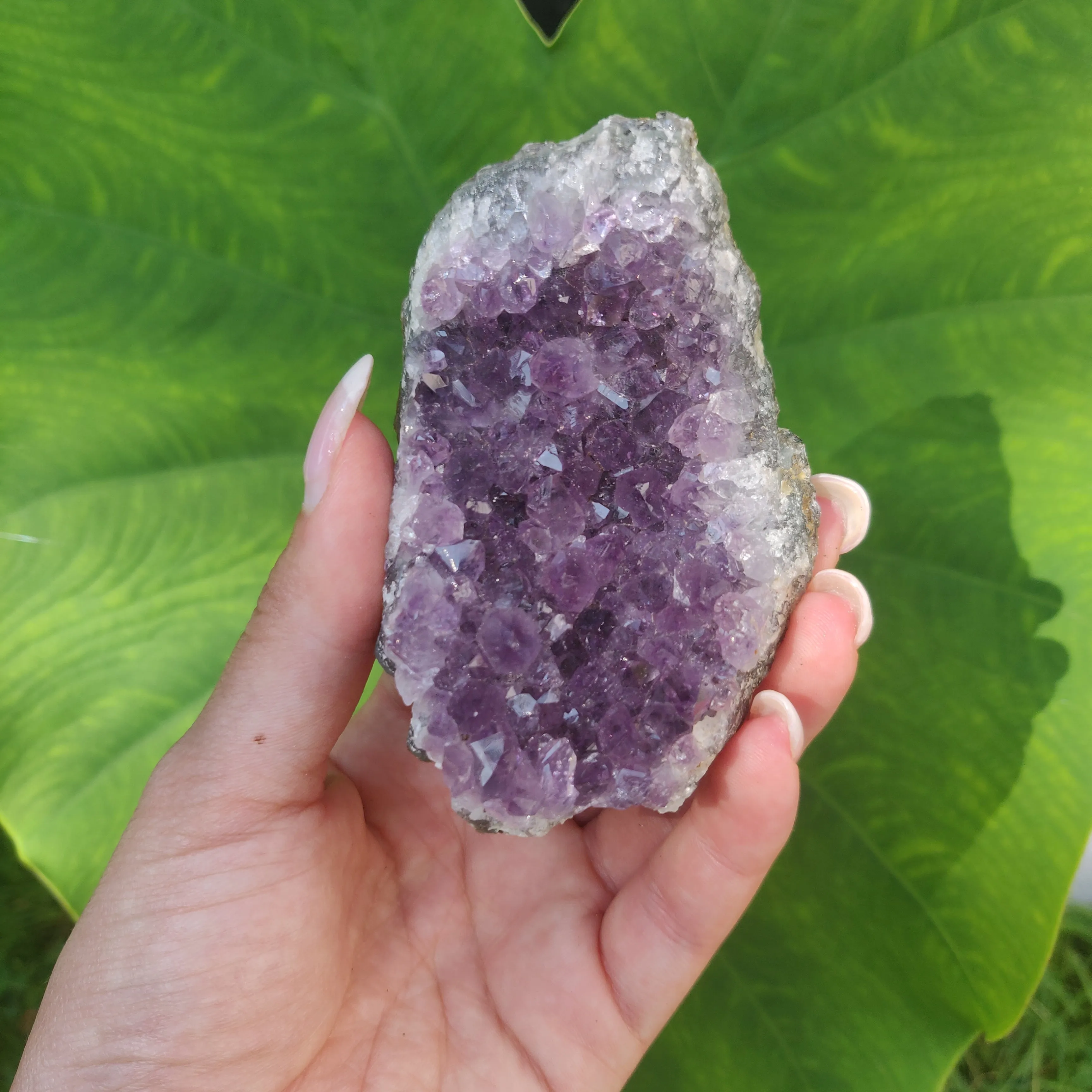 Amethyst Cluster (#6C)