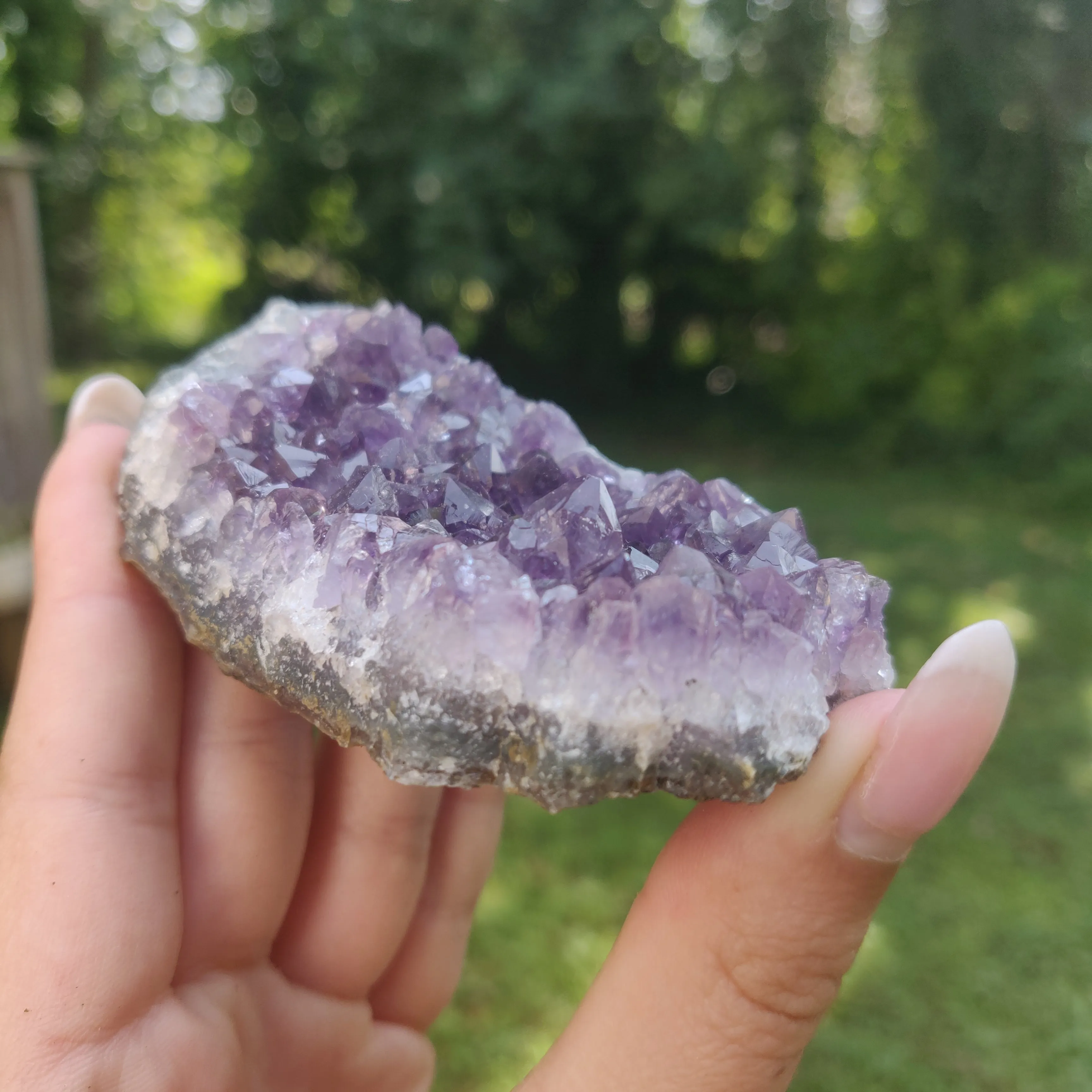 Amethyst Cluster (#6C)