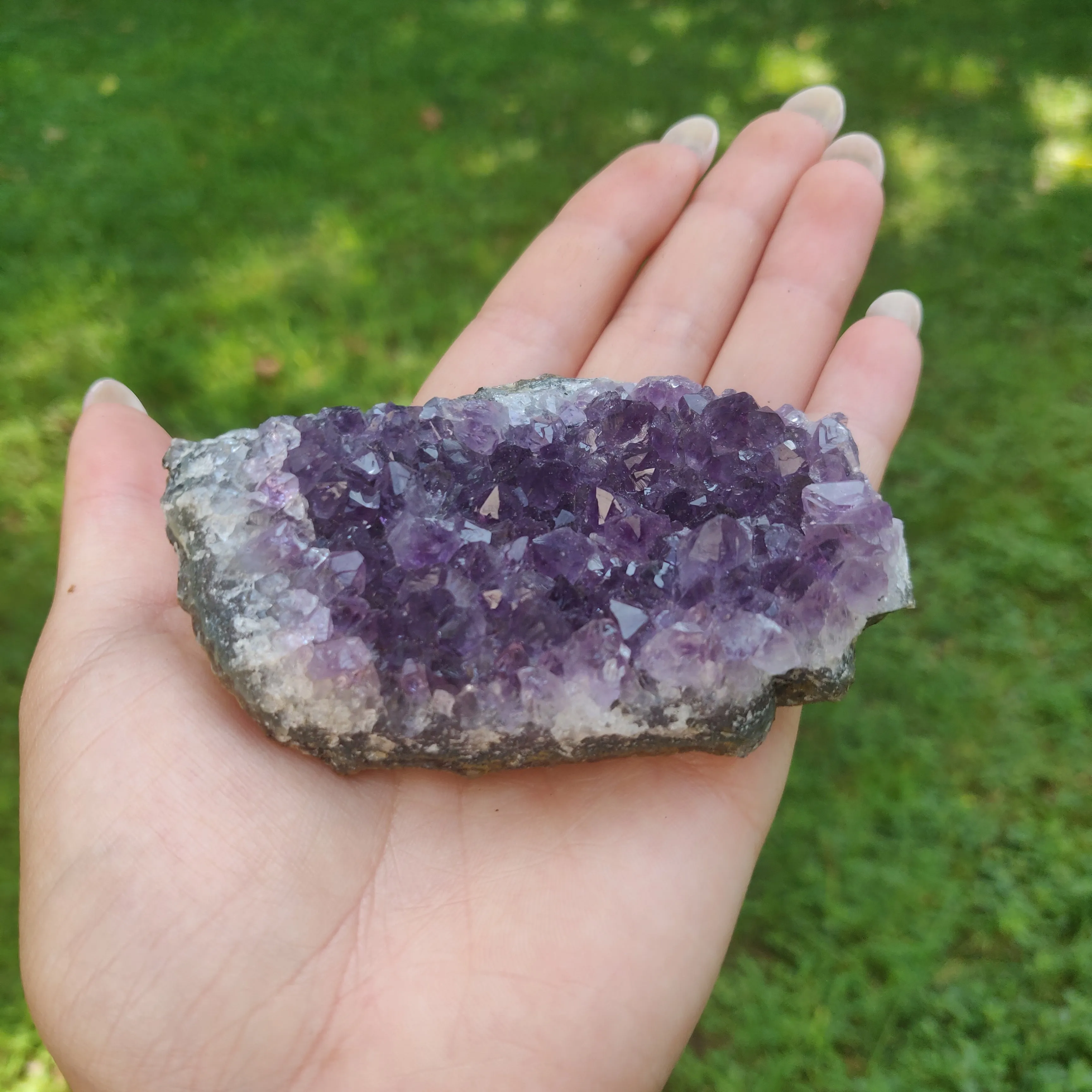 Amethyst Cluster (#6C)