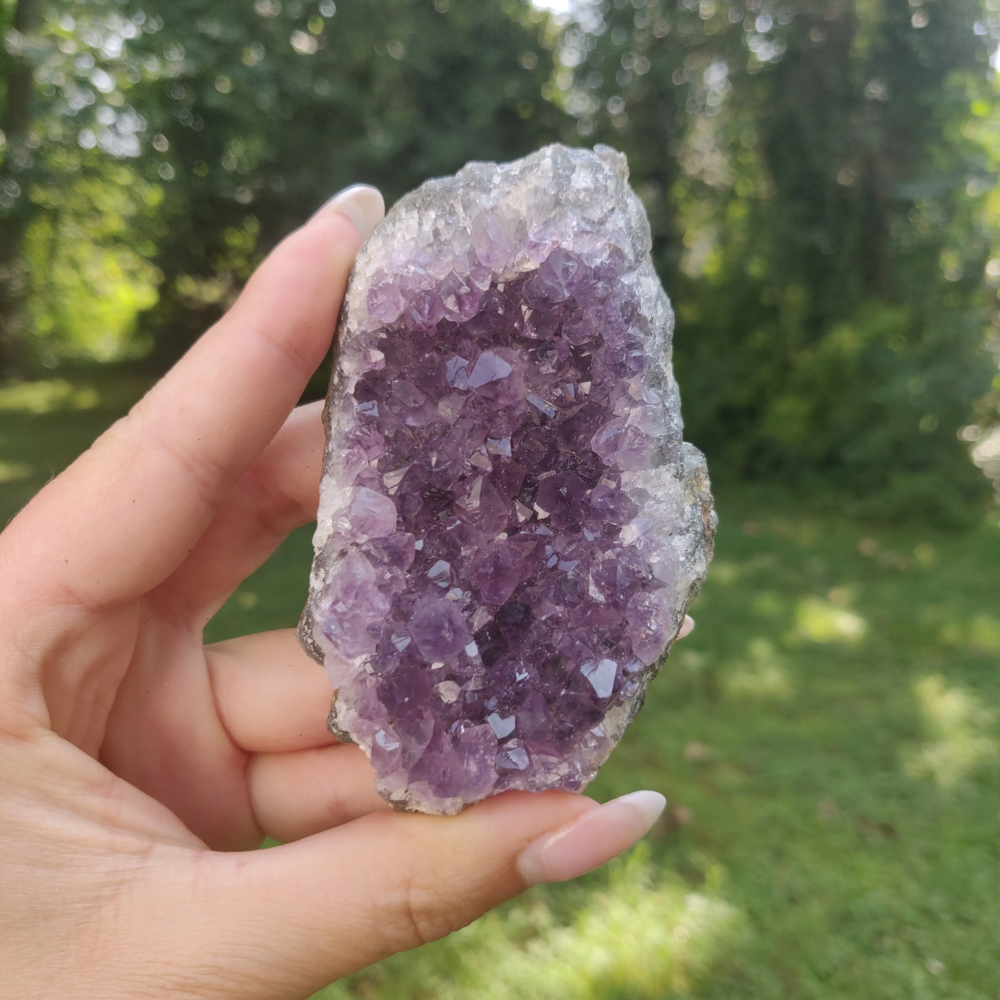 Amethyst Cluster (#6C)