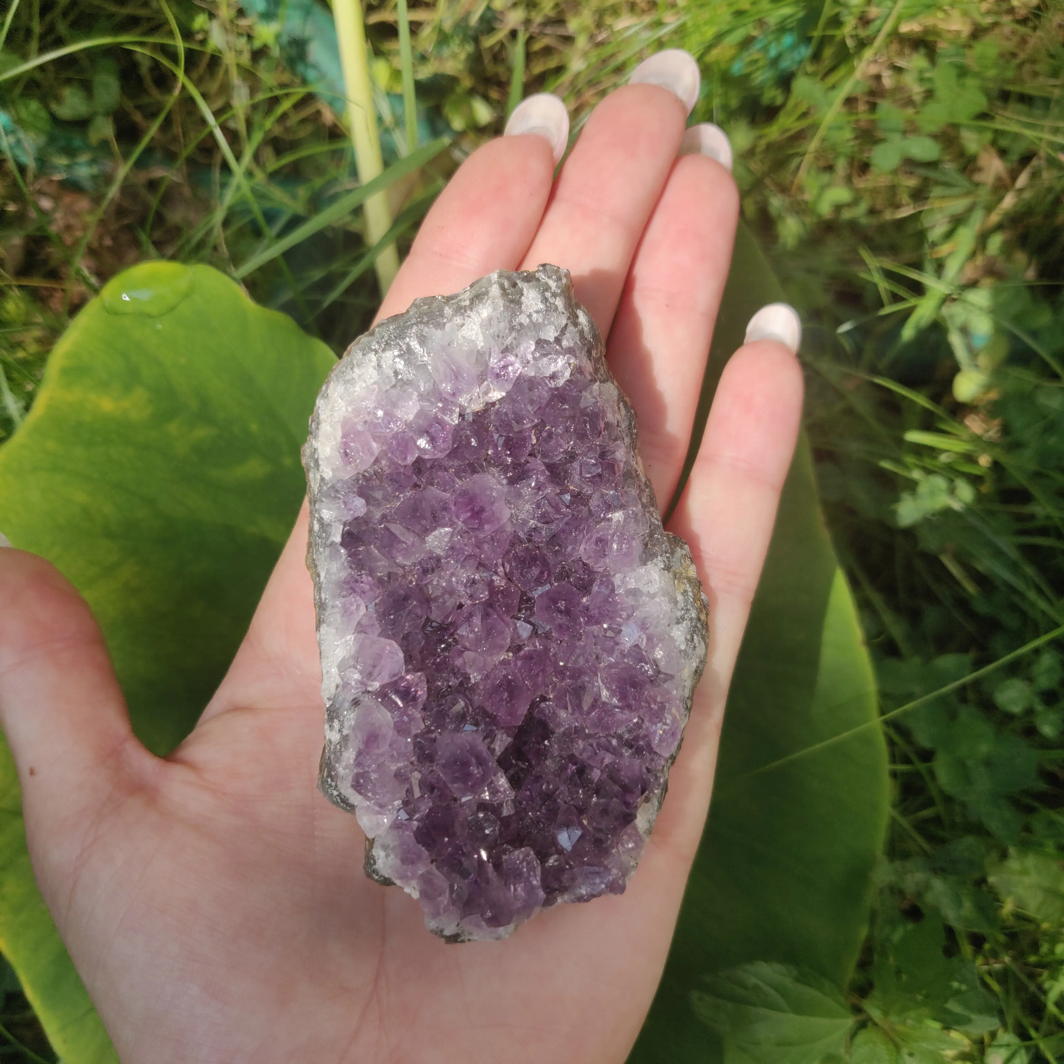 Amethyst Cluster (#6C)