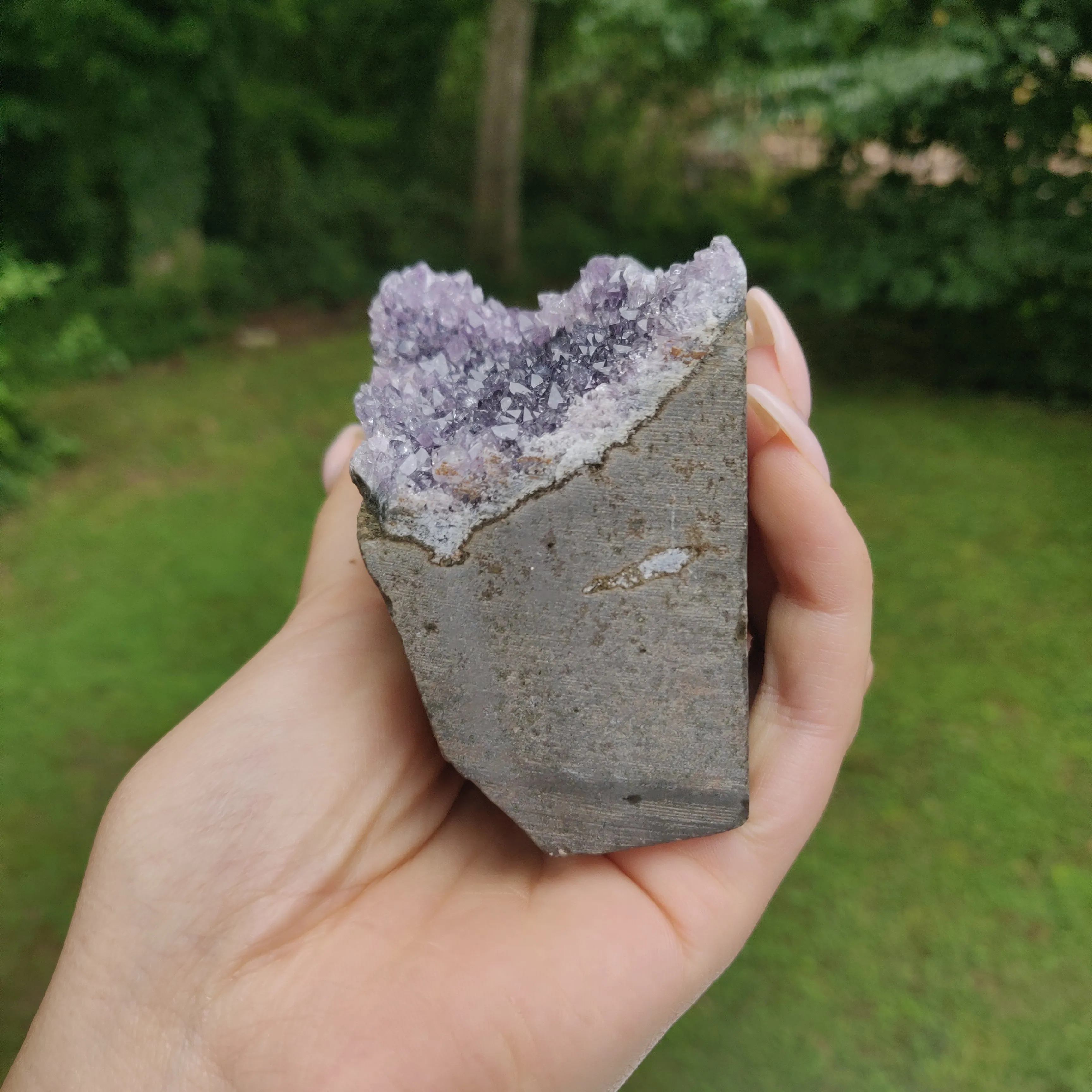 Amethyst Geode Free Form, Cut Base (#31)