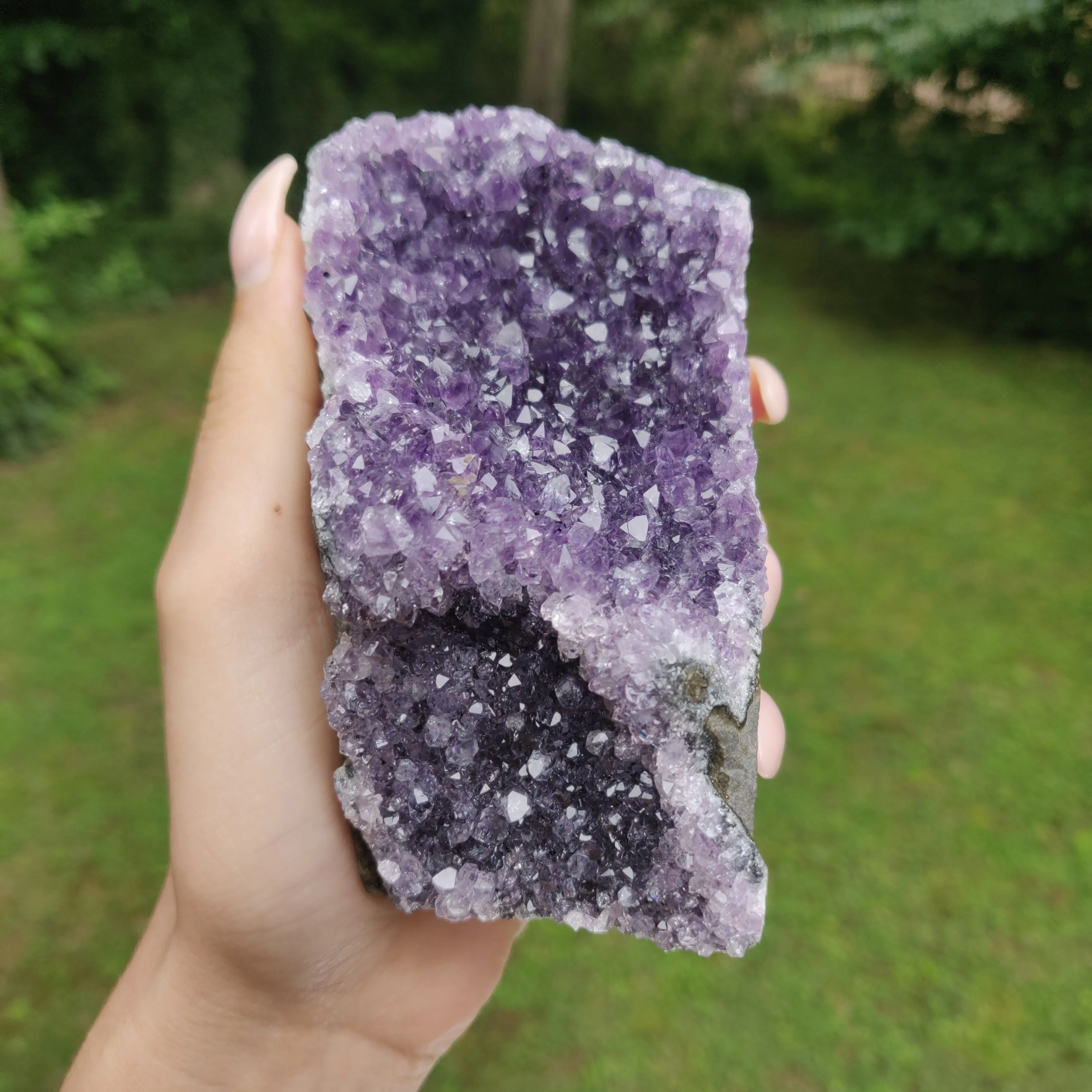 Amethyst Geode Free Form, Cut Base (#31)