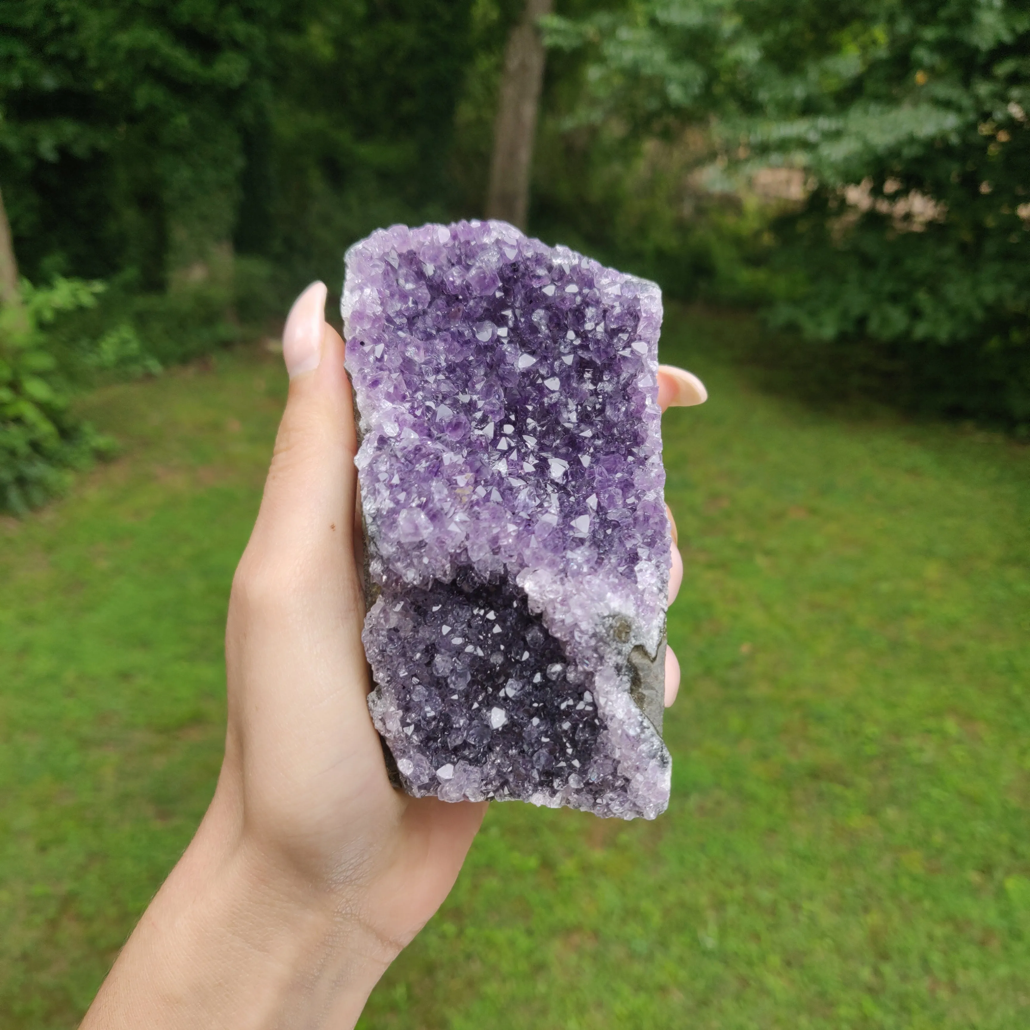 Amethyst Geode Free Form, Cut Base (#31)