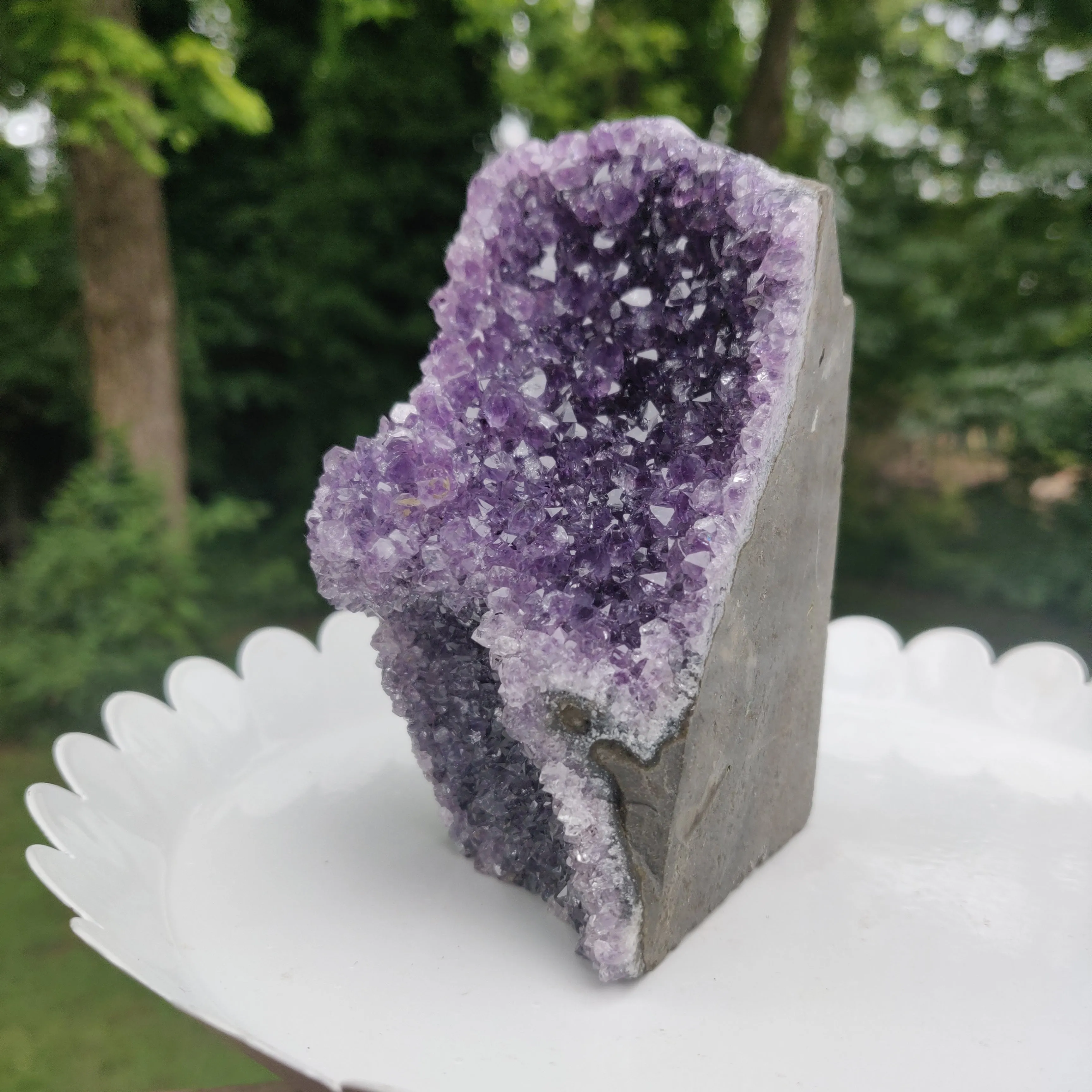 Amethyst Geode Free Form, Cut Base (#31)