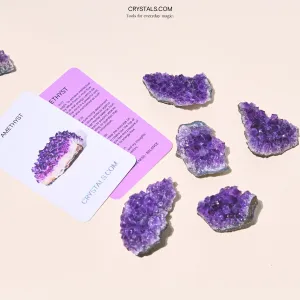 Brazilian Amethyst Cluster