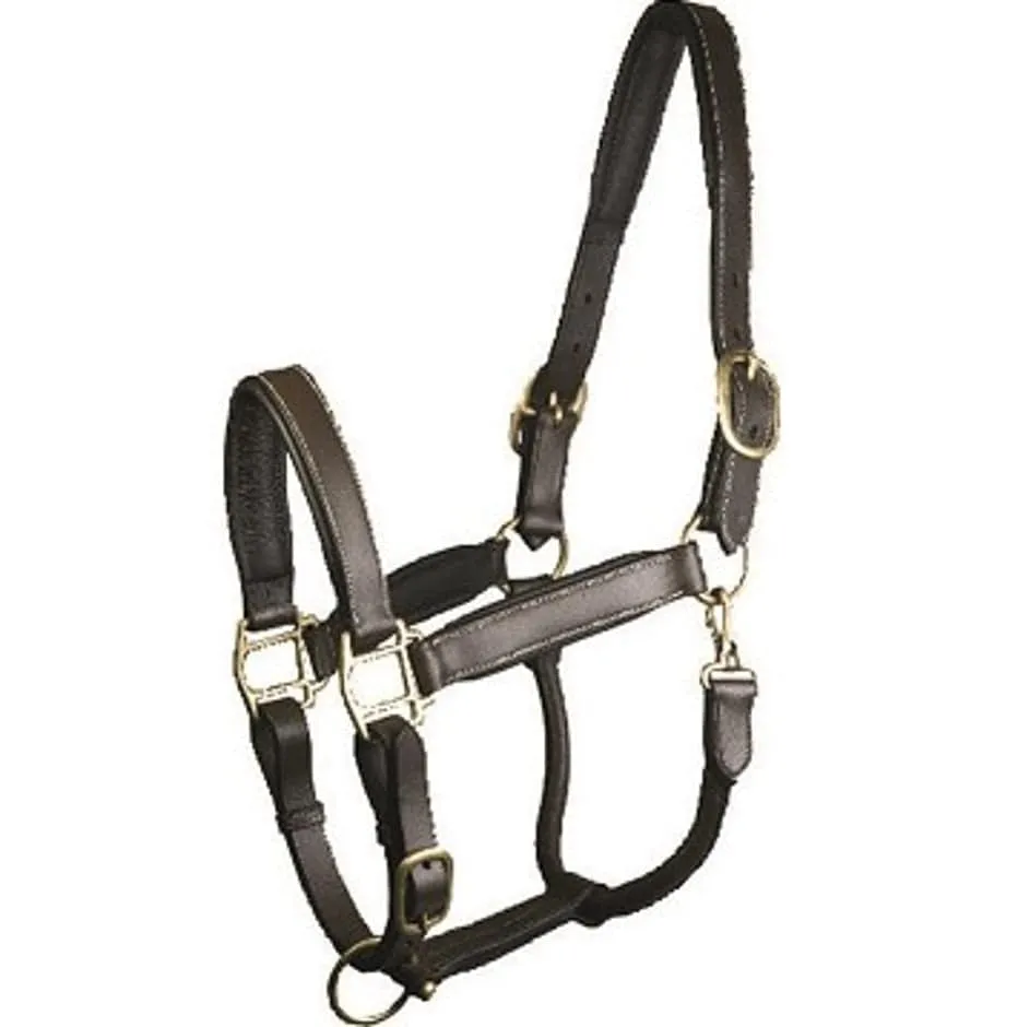 Gatsby Adjustable Padded Leather Halter