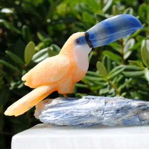 Hand Carved Yellow Toucan on Kyanite base