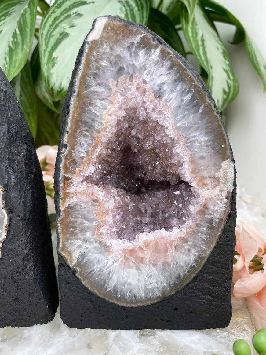 Light Amethyst Geodes