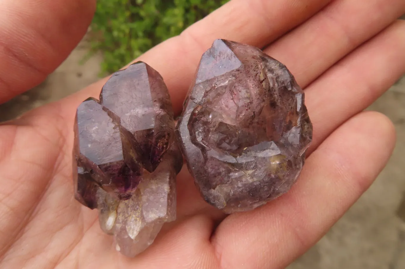 Natural Amethyst Crystal Specimens x 20 From Chiredzi, Zimbabwe