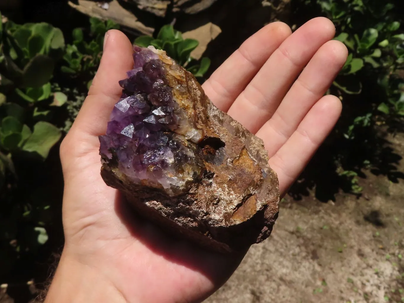 Natural Dark Amethyst Crystal Plate Specimens x 12 From Zululand, South Africa