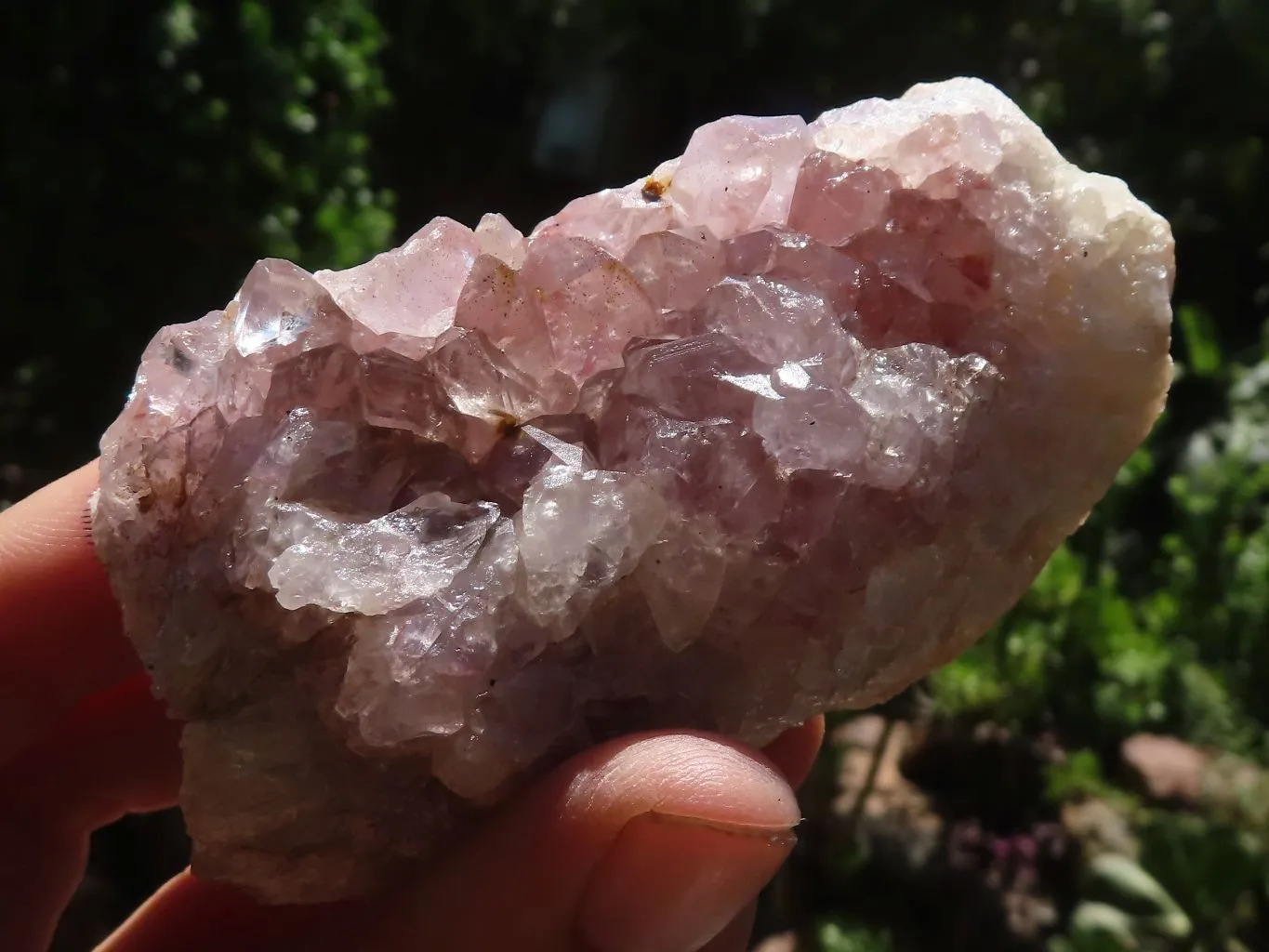 Natural Dark Amethyst Crystal Plate Specimens x 12 From Zululand, South Africa