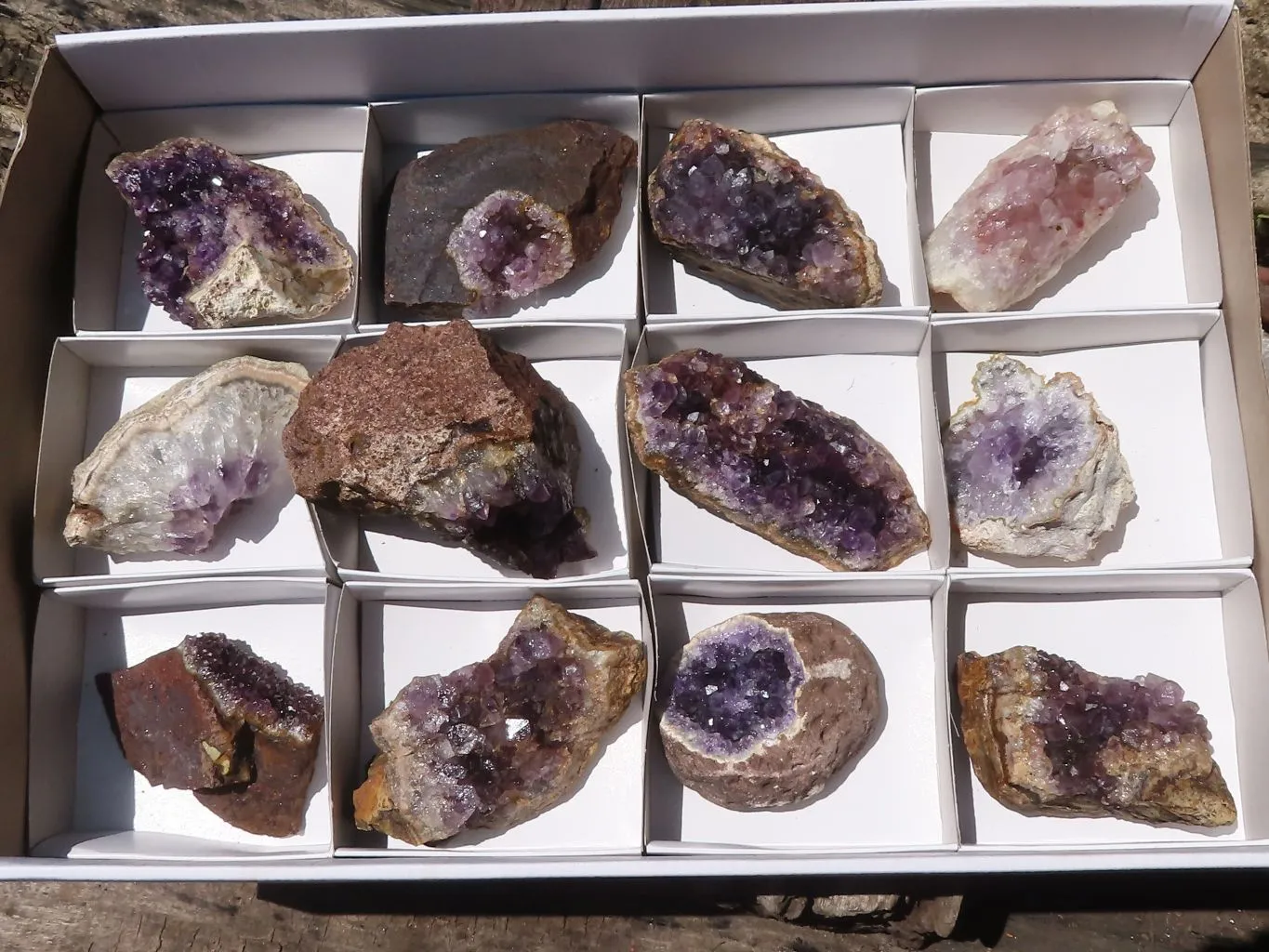 Natural Dark Amethyst Crystal Plate Specimens x 12 From Zululand, South Africa