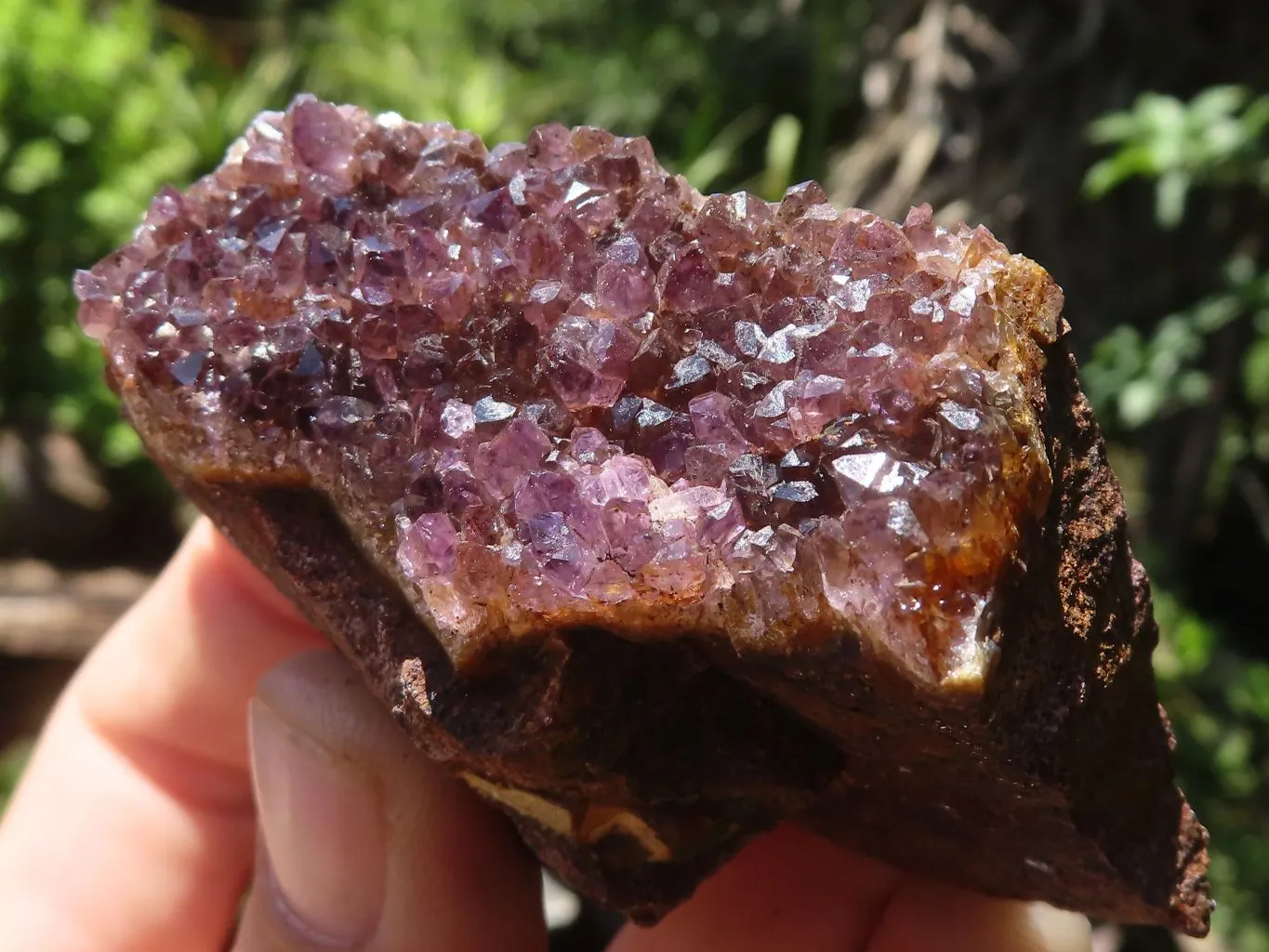 Natural Dark Amethyst Crystal Plate Specimens x 12 From Zululand, South Africa