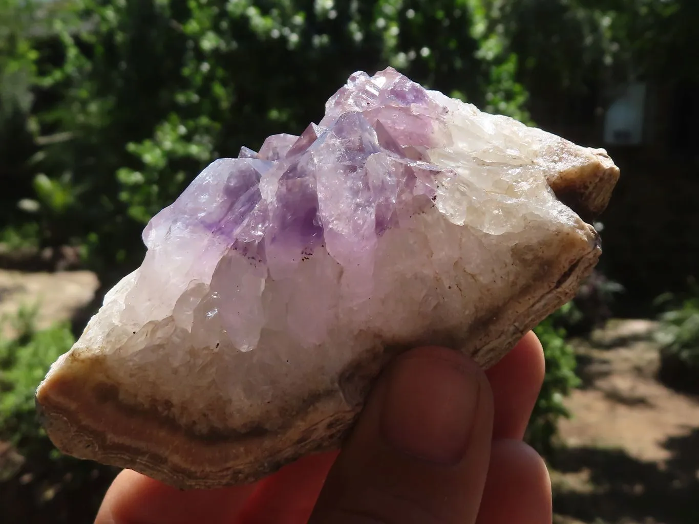 Natural Dark Amethyst Crystal Plate Specimens x 12 From Zululand, South Africa