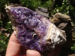 Natural Dark Amethyst Crystal Plate Specimens x 12 From Zululand, South Africa