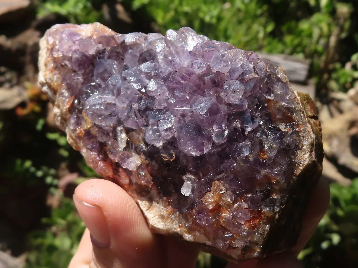 Natural Dark Amethyst Crystal Plate Specimens x 12 From Zululand, South Africa