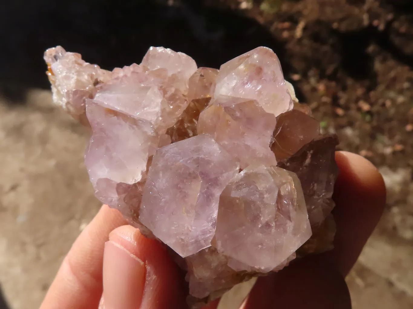 Natural Mixed Spirit Amethyst Quartz Crystals & Clusters x 24 From Boekenhouthoek, South Africa