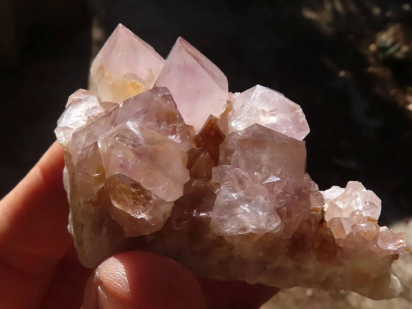 Natural Mixed Spirit Amethyst Quartz Crystals & Clusters x 24 From Boekenhouthoek, South Africa