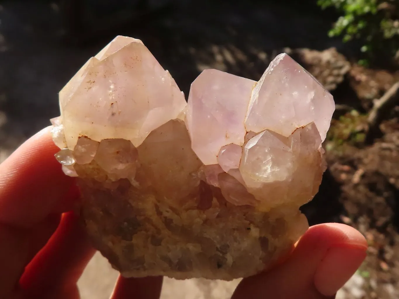 Natural Mixed Spirit Amethyst Quartz Crystals & Clusters x 24 From Boekenhouthoek, South Africa