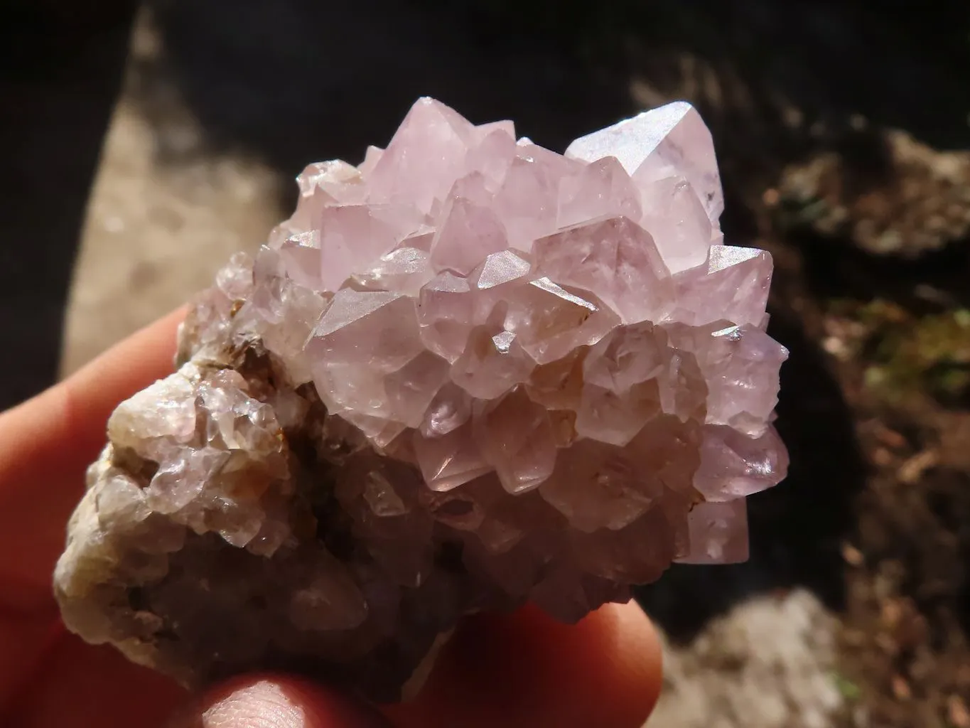 Natural Mixed Spirit Amethyst Quartz Crystals & Clusters x 24 From Boekenhouthoek, South Africa