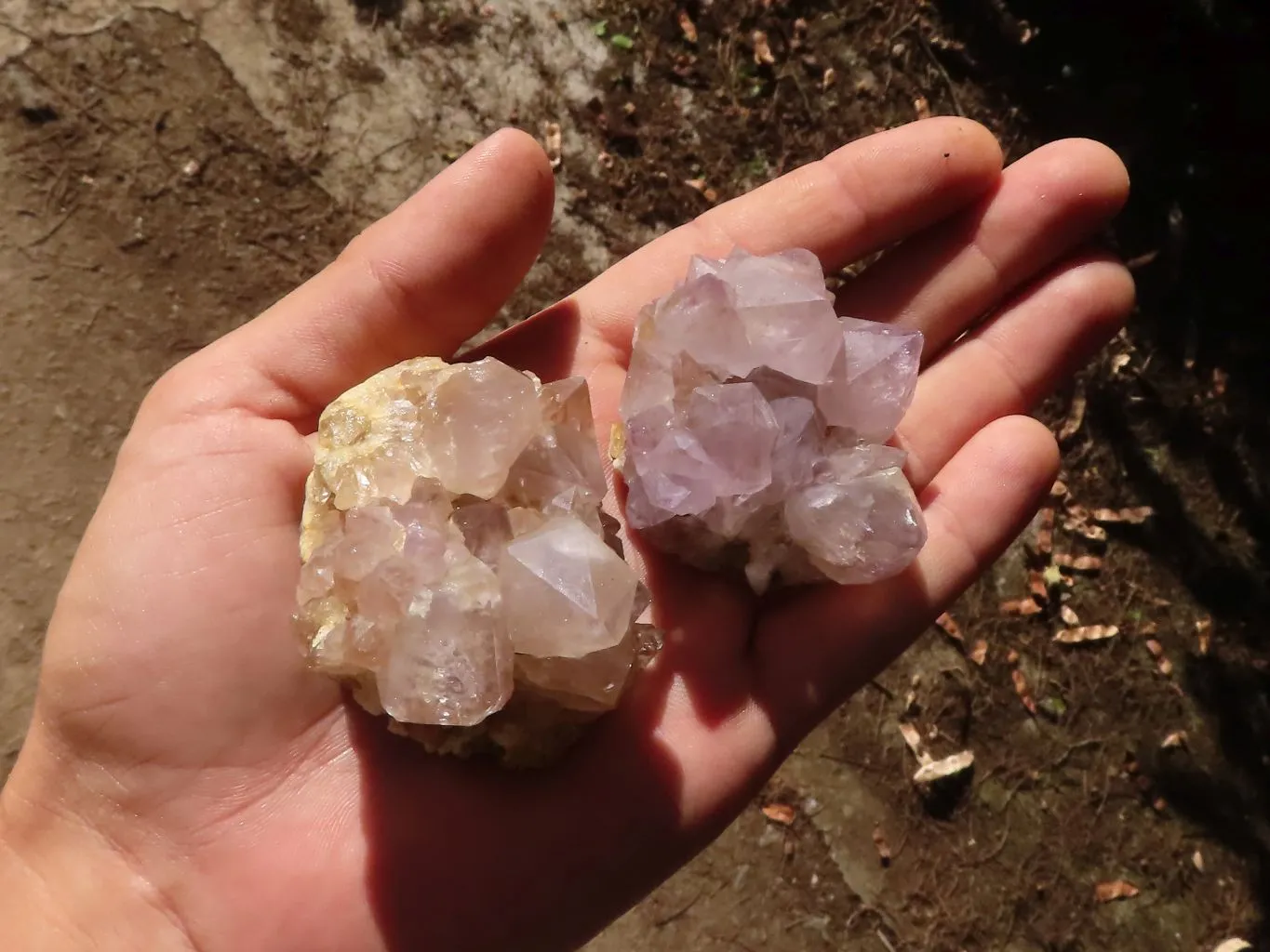 Natural Mixed Spirit Amethyst Quartz Crystals & Clusters x 24 From Boekenhouthoek, South Africa