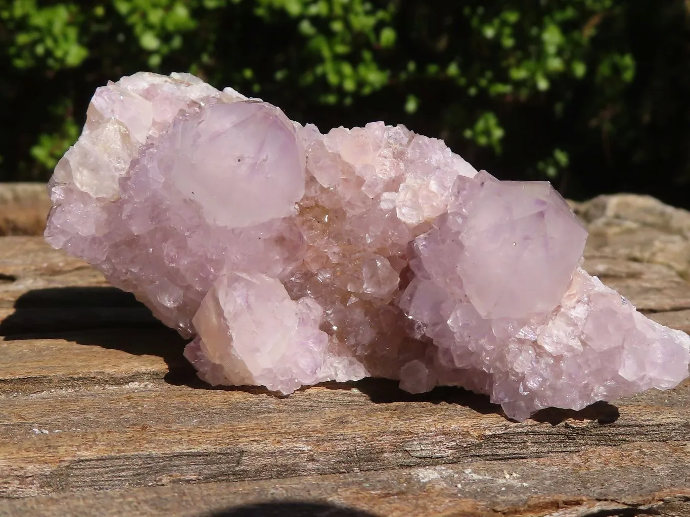 Natural Mixed Spirit Ametrine / Amethyst Quartz Clusters x 6 From Boekenhouthoek, South Africa