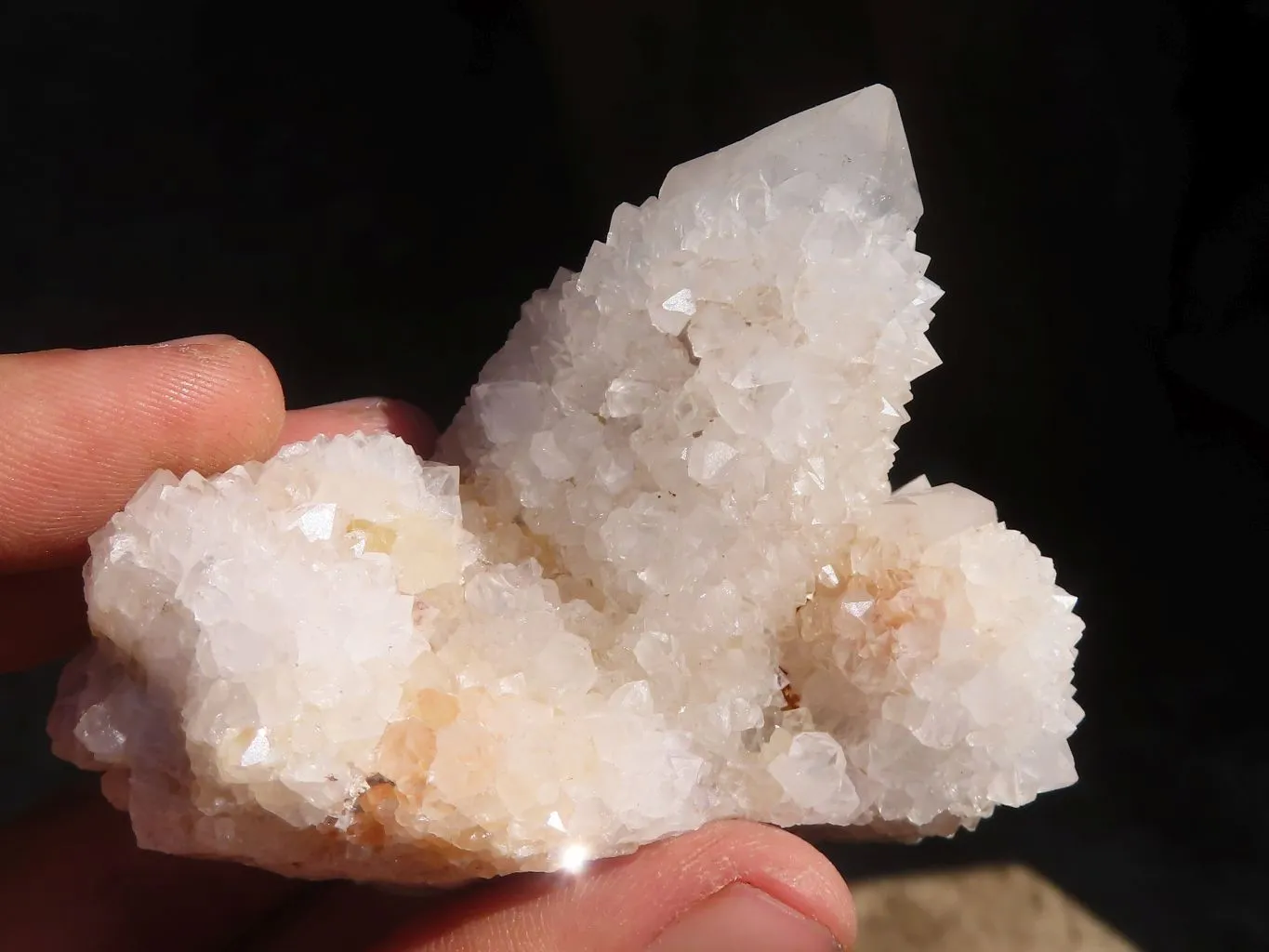 Natural Mixed Spirit Ametrine / Amethyst Quartz Clusters x 6 From Boekenhouthoek, South Africa