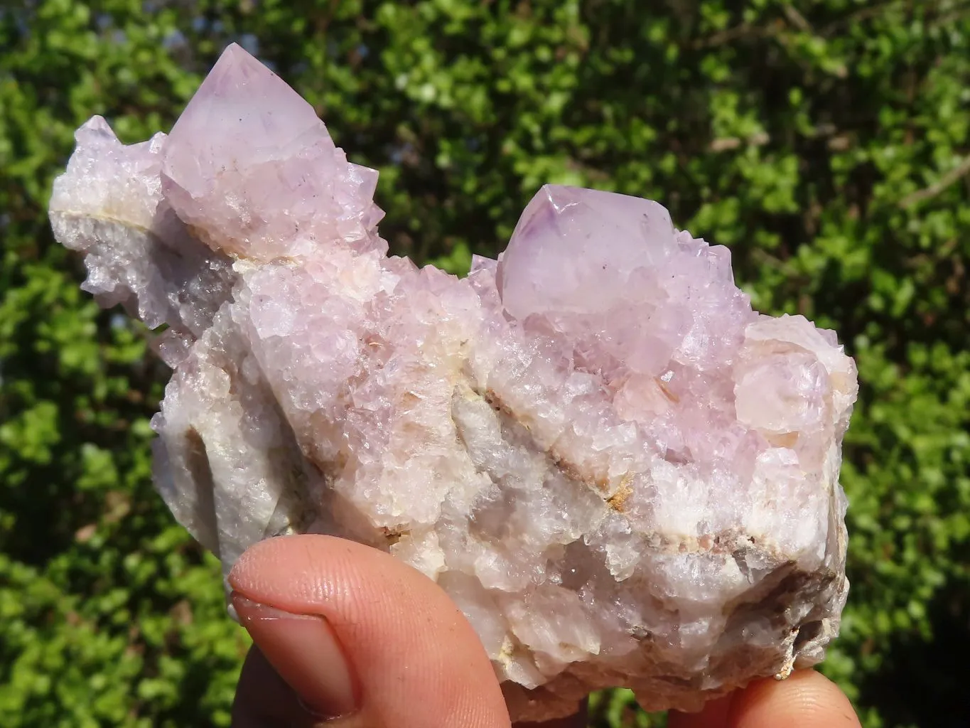 Natural Mixed Spirit Ametrine / Amethyst Quartz Clusters x 6 From Boekenhouthoek, South Africa