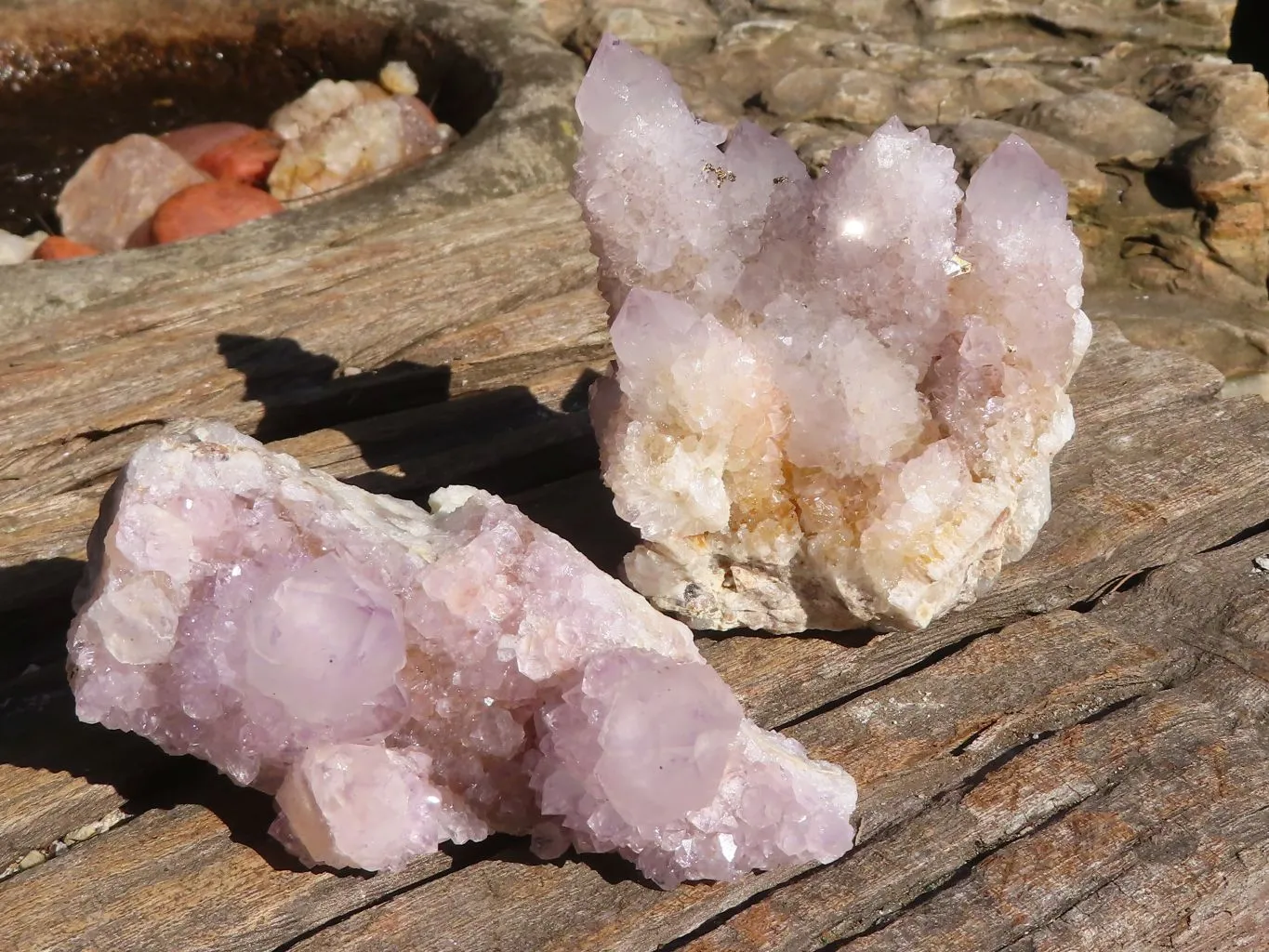 Natural Mixed Spirit Ametrine / Amethyst Quartz Clusters x 6 From Boekenhouthoek, South Africa