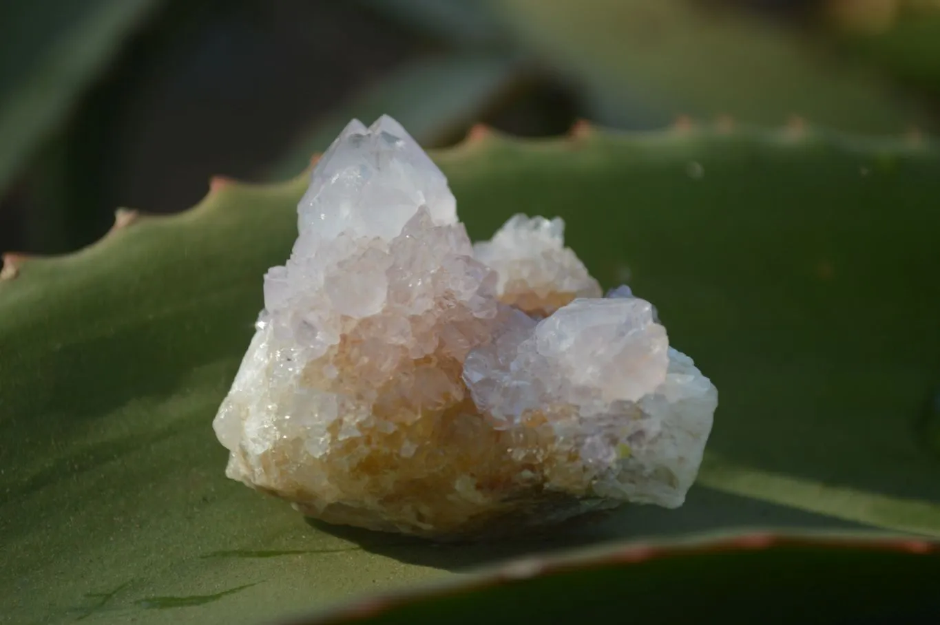 Natural Small Spirit Amethyst Quartz Crystals x 70 From Boekenhouthoek, South Africa