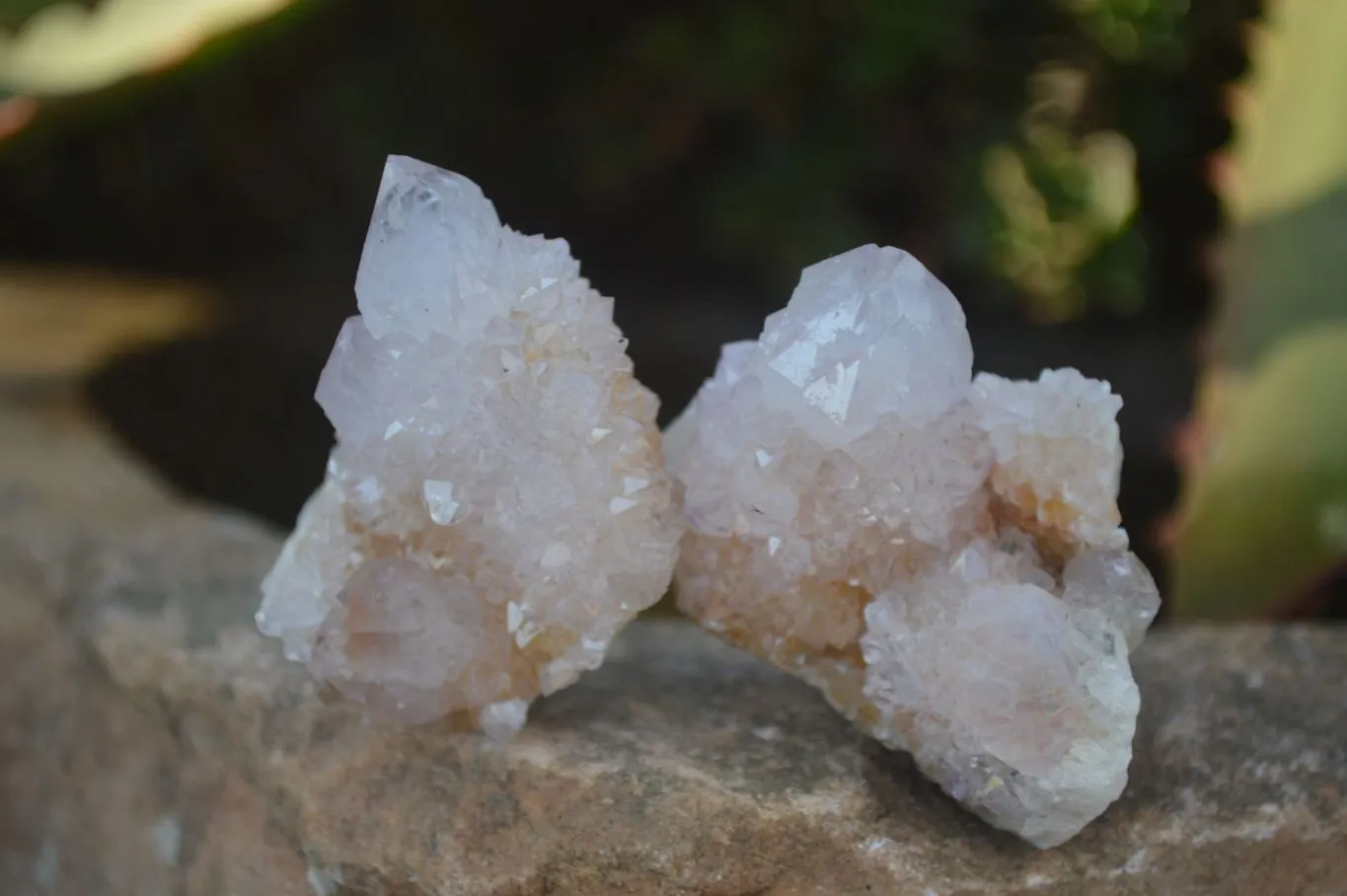 Natural Small Spirit Amethyst Quartz Crystals x 70 From Boekenhouthoek, South Africa