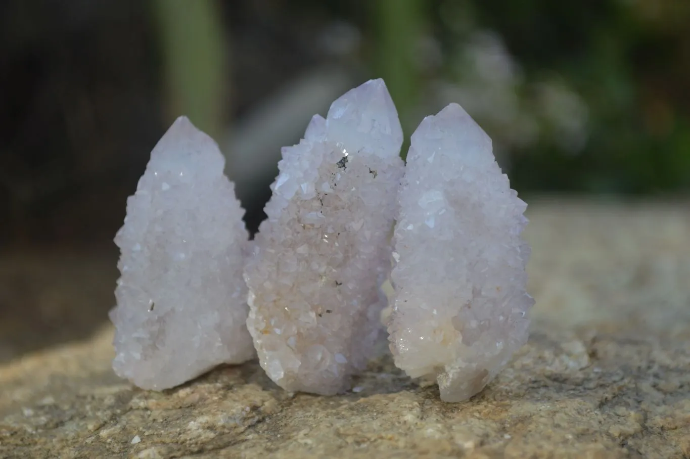 Natural Small Spirit Amethyst Quartz Crystals x 70 From Boekenhouthoek, South Africa