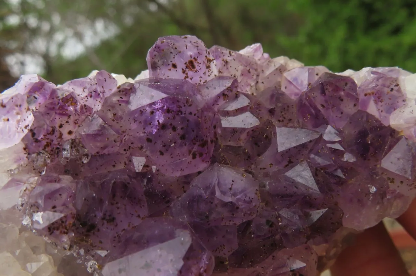 Natural Zululand Amethyst Agate Geodes x 12 from Jozini, South Africa