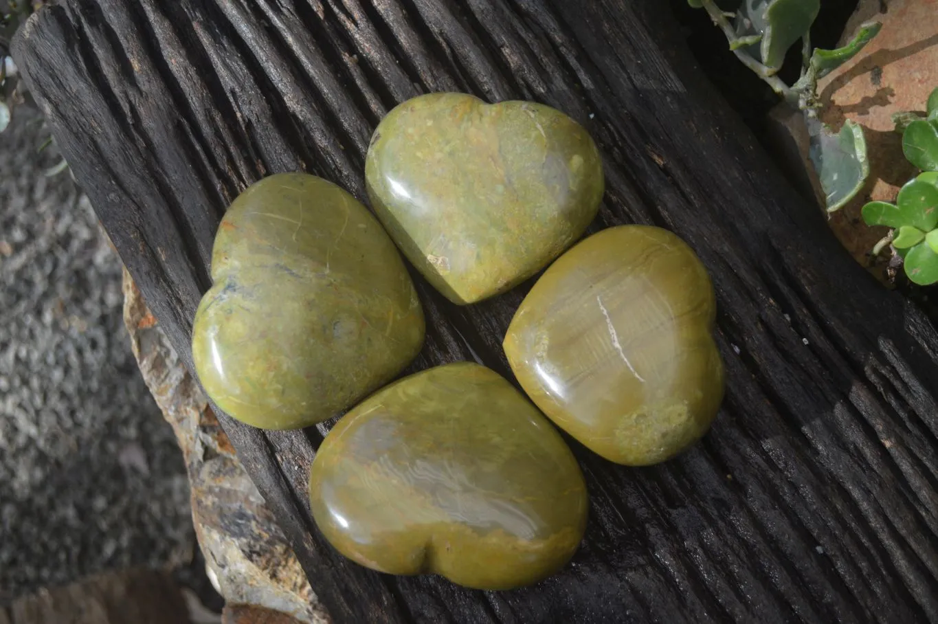 Polished Green Opal Gemstone Hearts  x 6 From Antsirabe, Madagascar