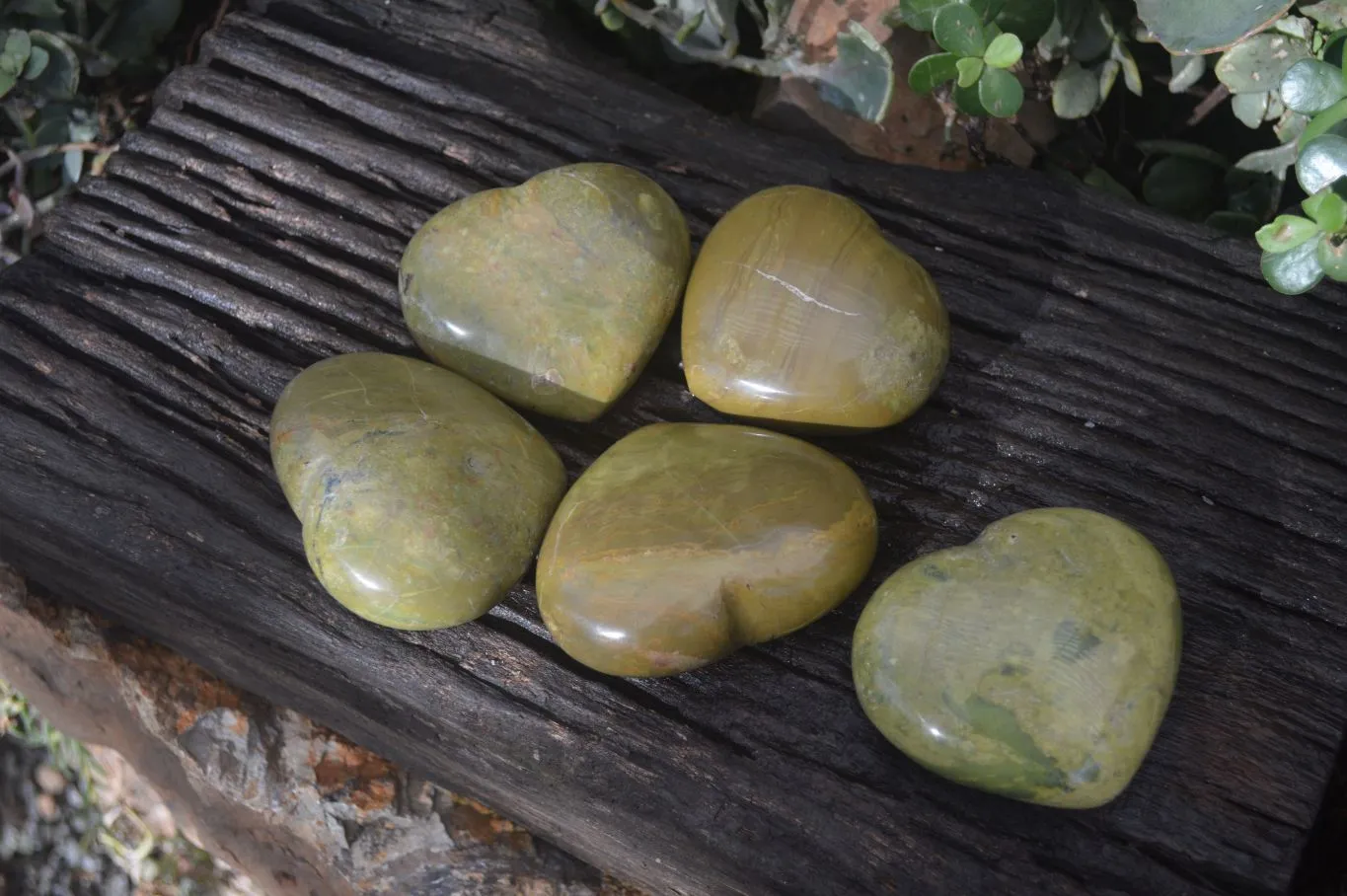 Polished Green Opal Gemstone Hearts  x 6 From Antsirabe, Madagascar