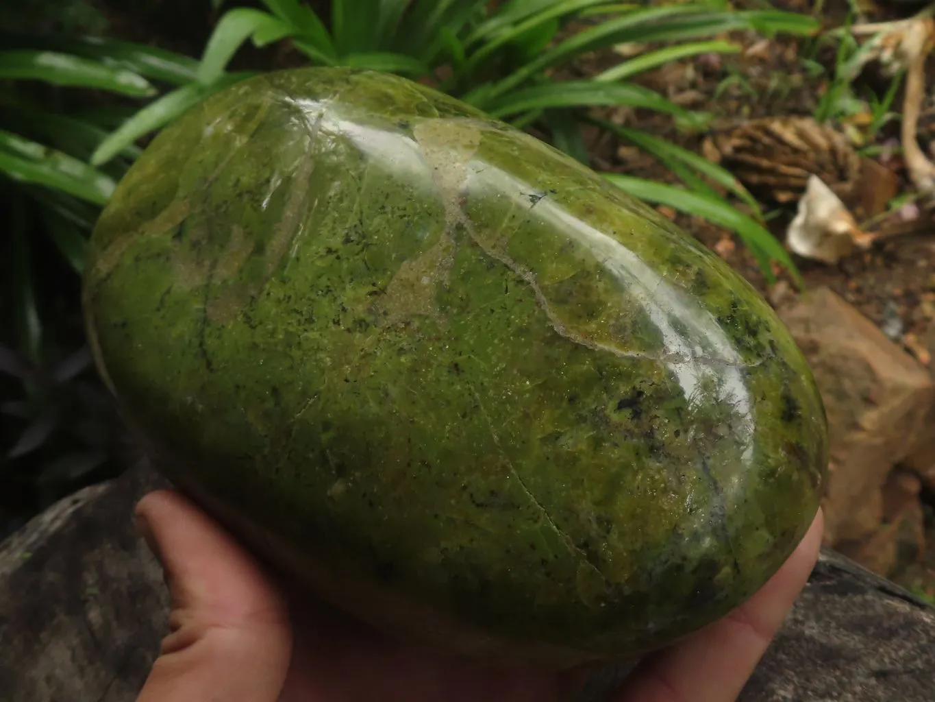 Polished Green Opal Standing Free Form  x 1 From Antsirabe, Madagascar