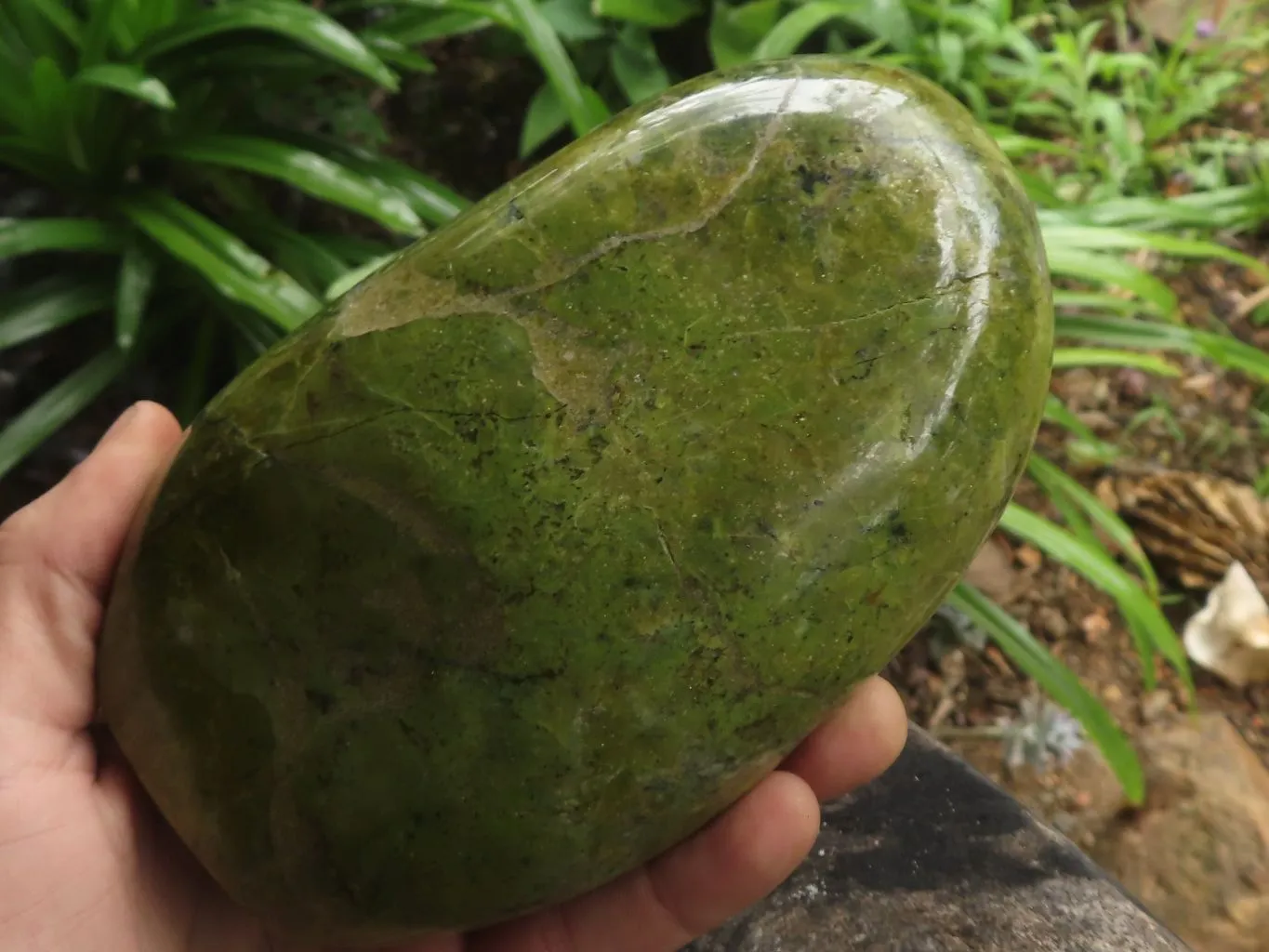 Polished Green Opal Standing Free Form  x 1 From Antsirabe, Madagascar