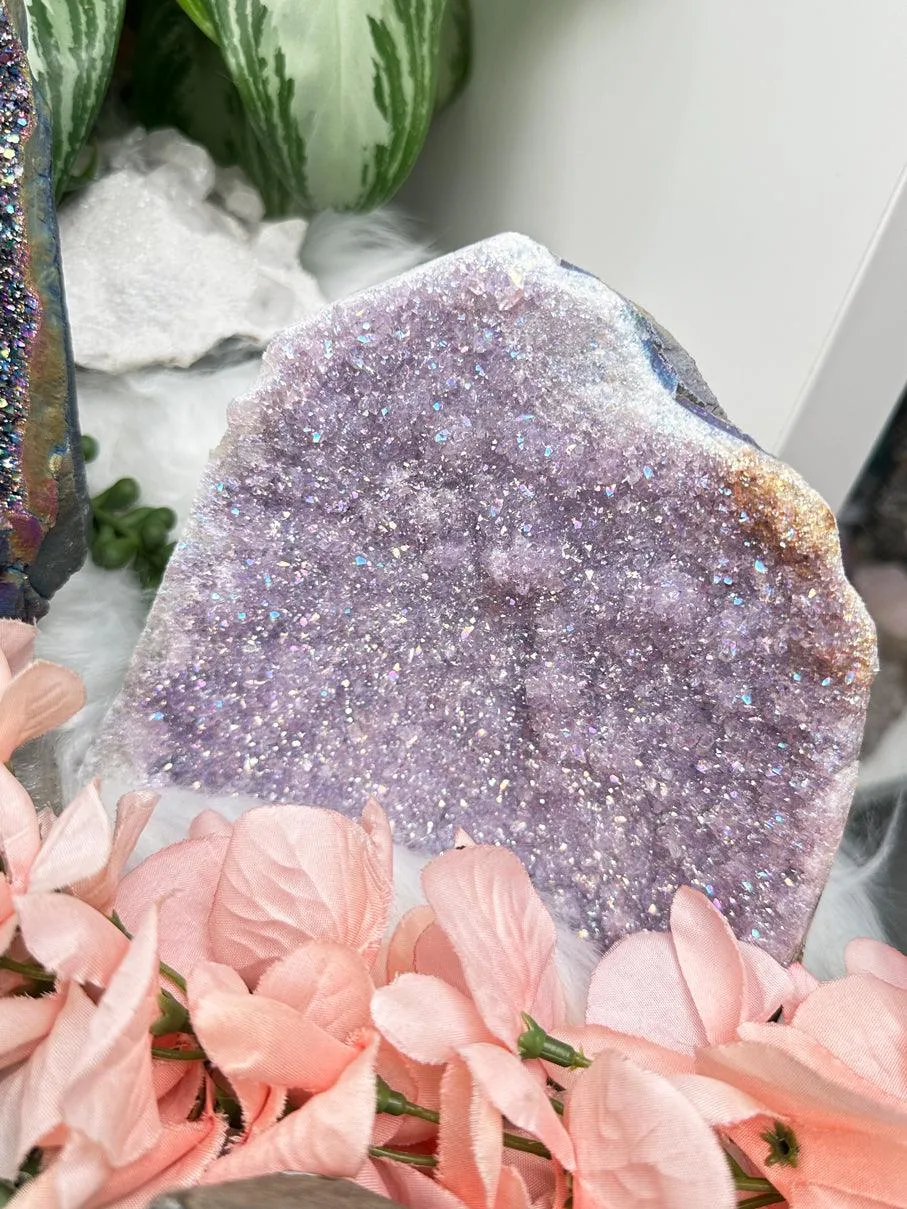 Standing Aura Amethyst Clusters